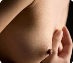 женская грудь